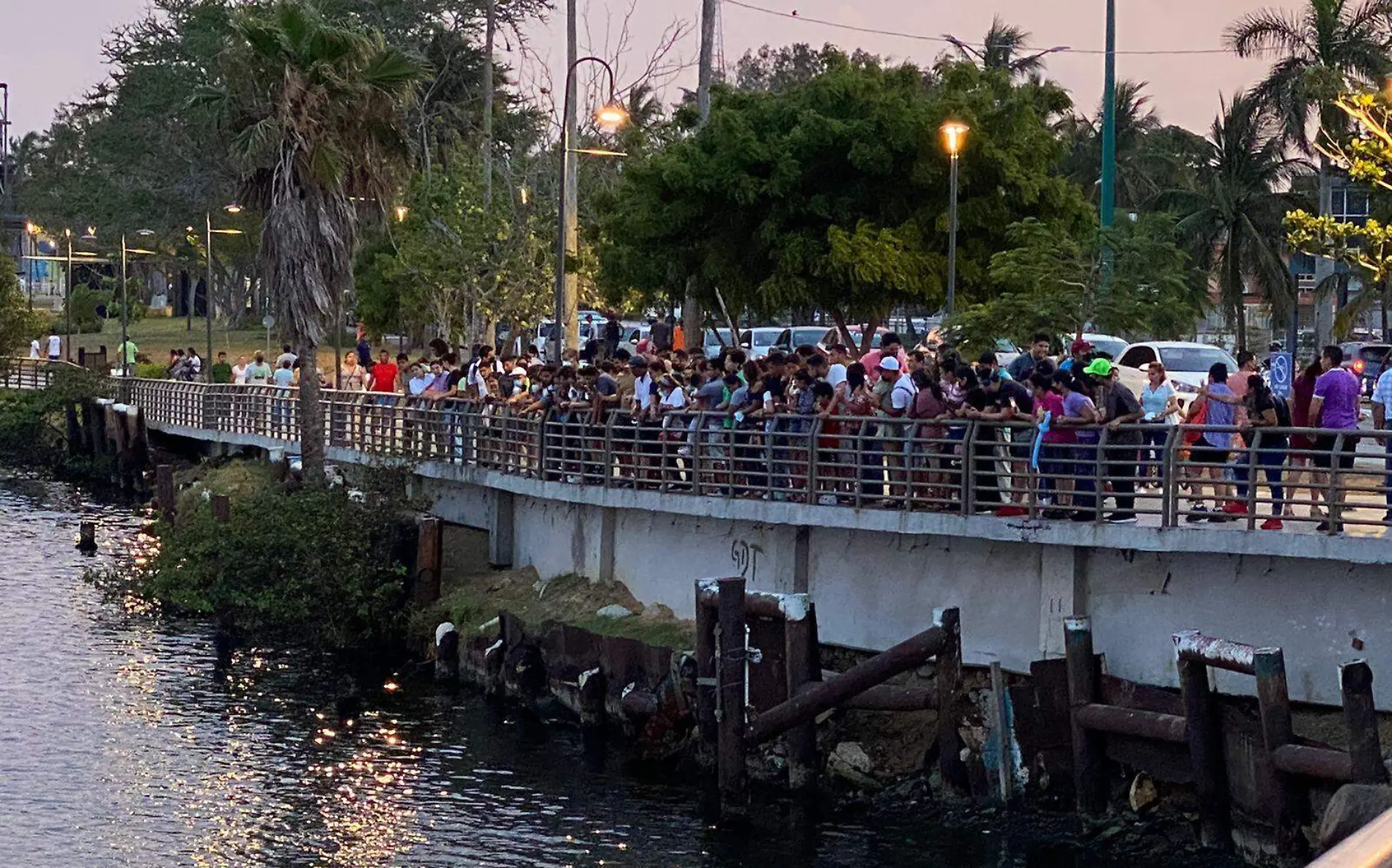 La presencia de manatíes atrajo a muchos tampiqueños a la laguna del Carpintero Viridiana Ríos (1)